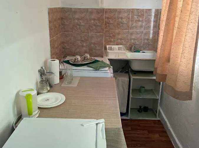 Апартаменти Garsoniera La Curte Paula *